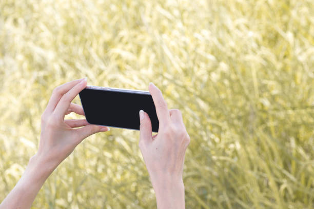 istock hand holding smartphone touch screen take photo 1064855188