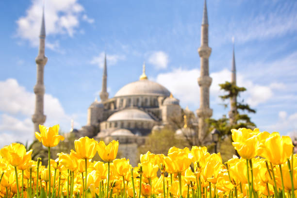 istock Blue Mosque and Tulip Festival 1064855892
