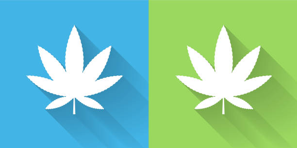 Marijuana Icon with Long Shadow Marijuana Icon with Long Shadow. The icon is on Blue Green Background with Long Shadow. There are two background color variations included in this file. The icon is rendered in white color and the background is blue or green. There is also a 45 degree long shadow. weed leaf stock illustrations