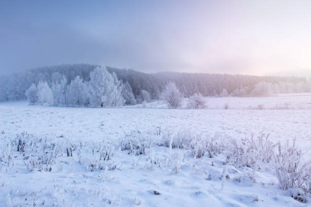 istock Winter nature at dawn. Snowy landscape 1064872556