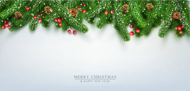 Vector illustration for Merry Christmas and Happy New Year . Greeting card with New Year's with  green branches of pine, snow, coneson  on grey background. Template,  postcard, flyer, congratulatory, brochure Vector illustration for Merry Christmas and Happy New Year . Greeting card with New Year's with  green branches of pine, snow, coneson  on grey background. Template,  postcard, flyer, congratulatory, brochure floral garland stock illustrations
