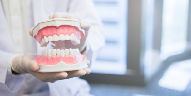 istock close up dentist hand holding teeth model denture for explain correct of treatment inside oral and give information of dental knowledge to patient at clinic office , dentistry medical concept 1064881630