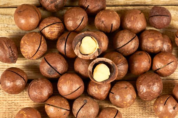 Exploding Macadamia 150+ Macadamia Nutcracker Stock Photos, Pictures & Royalty-Free Images ...