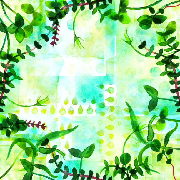 istock A frame with fresh green sprouts and copy space. Watercolor branches and leaves, forming a border for a spring design with a place for text 1064885654