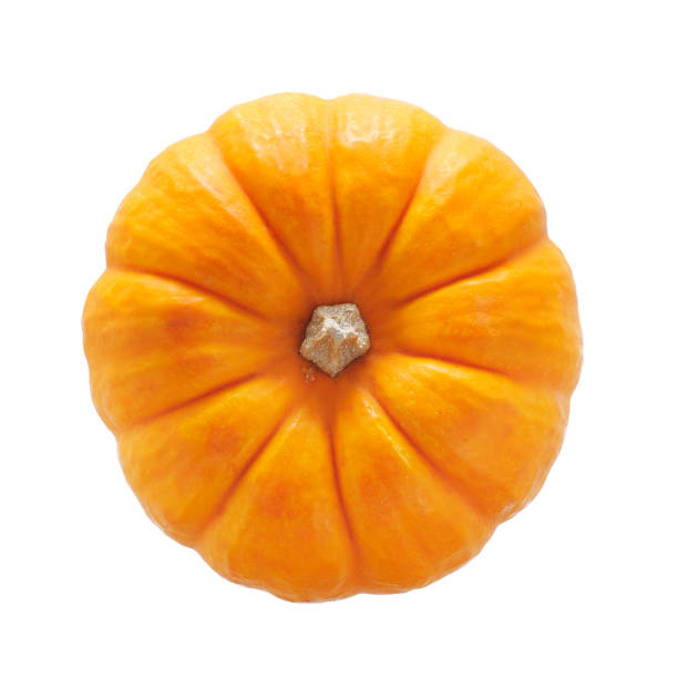 istock colorful decorative pumpkins on a white background 1064888056