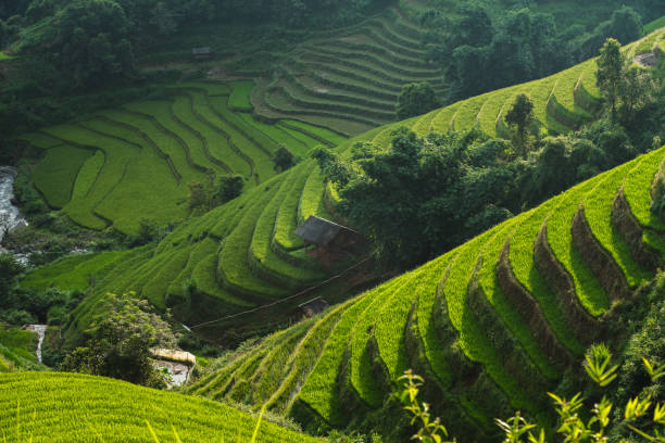 istock Rice terrace Mountains in Mu can chai, Vietnam 1064892966