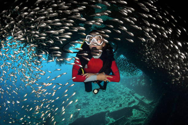 istock Scuba diver girl surrounded by fish 1064897662