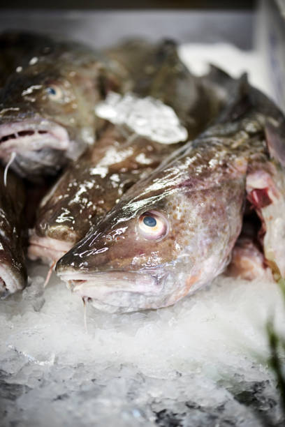 istock Fresh fish in a fishshop 1064897784