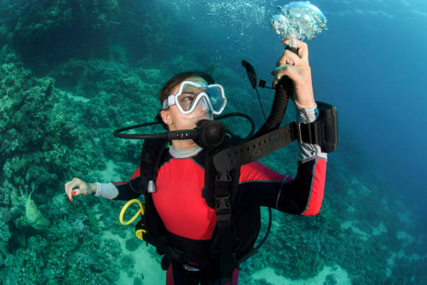 istock Scuba diver girl descending 1064898158