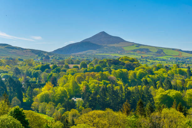 istock Sugarloaf hill in Ireland 1064898188