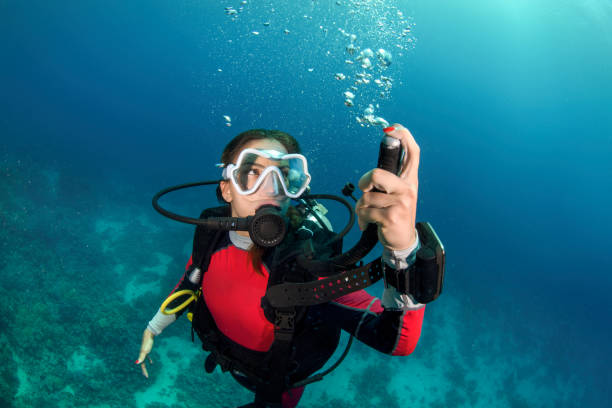 istock Scuba diver girl descending 1064898450