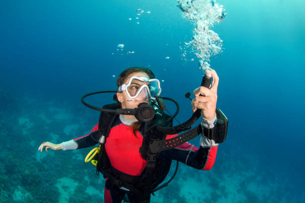 istock Scuba diver girl descending 1064898640