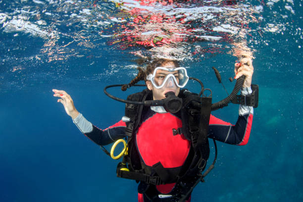 istock Scuba diver girl ascending 1064898822