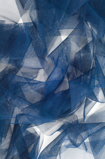 istock Texture, background, pattern. Blue ribbon in a small grid. Wide blue tulle gauze mesh fabric embroidered ribbon ribbon lace trim 1064899466