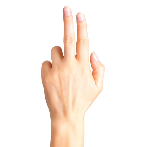 istock Female hand showing two fingers and palm 1064901628