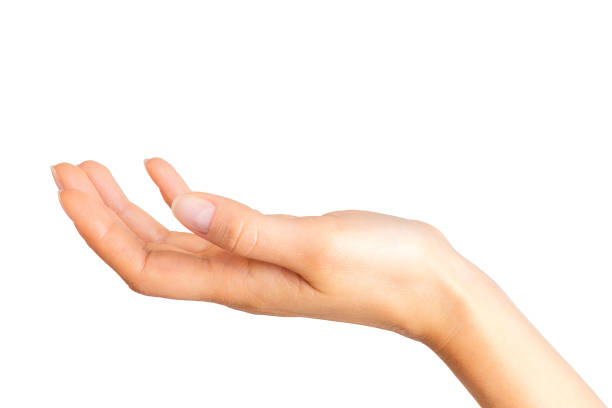 istock Woman showing open hand taking or showing something 1064901714