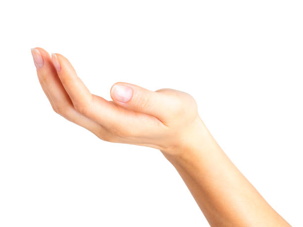 istock Woman showing open hand or holding something 1064901758