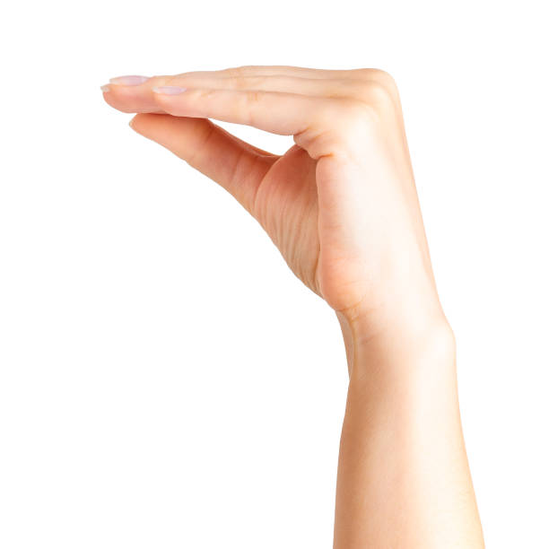 istock Woman hand showing animal or mouth gesture 1064902012