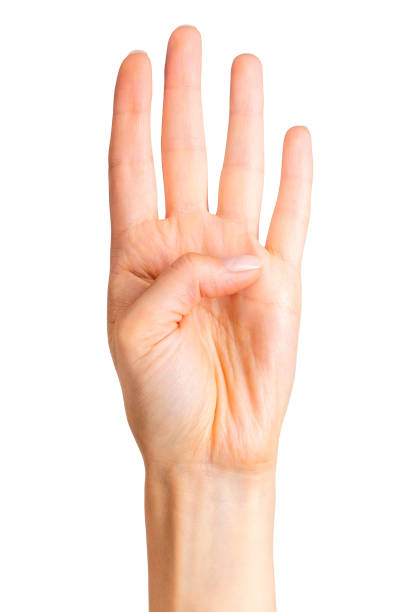 istock Female hand showing four fingers and palm 1064903144