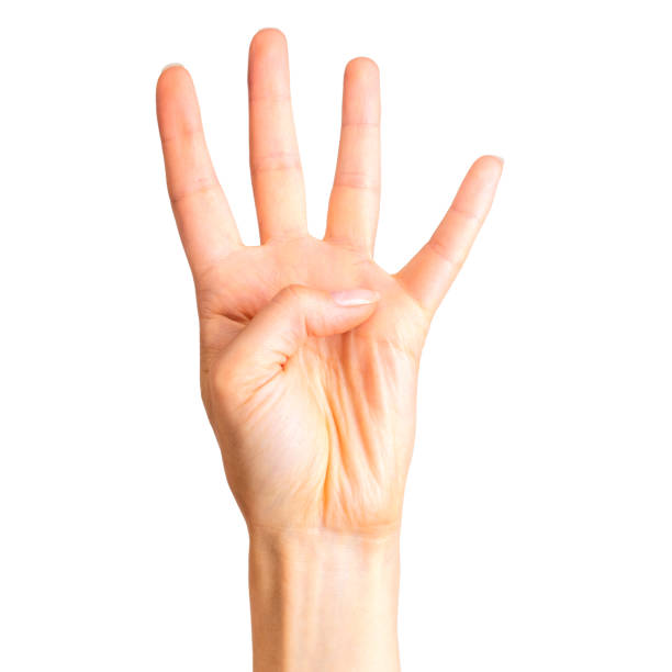istock Female hand showing four fingers and palm 1064903164