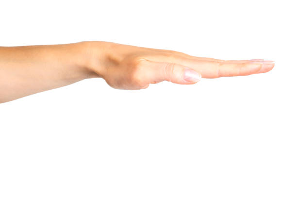 Female keep hand straight, side view. Isolated with clipping path.