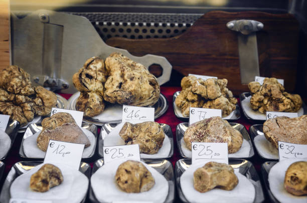 White Truffles (Tuber Magnatum Pico) of Alba, Piedmont (Italy) White Truffles (Tuber Magnatum Pico) on a trader stall of the Fiera del Tartufo (Truffle Fair) of Alba, Piedmont (Italy), most important international truffle market in the world fiera stock pictures, royalty-free photos & images