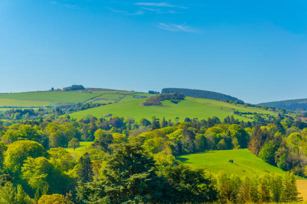 istock View of Irish countryside 1064905410
