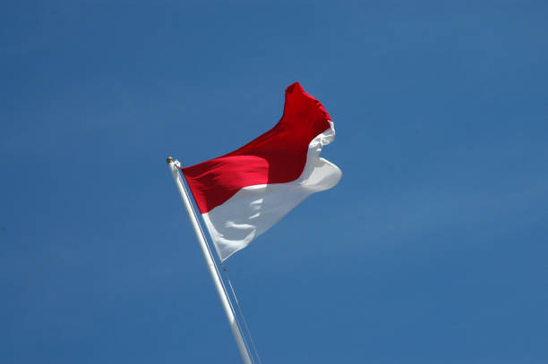 istock Indonesian Flag with blue sky 1064906264