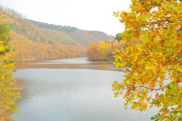 istock View on the Rursee from the forest with autumn colors in the Eifel 1064910104