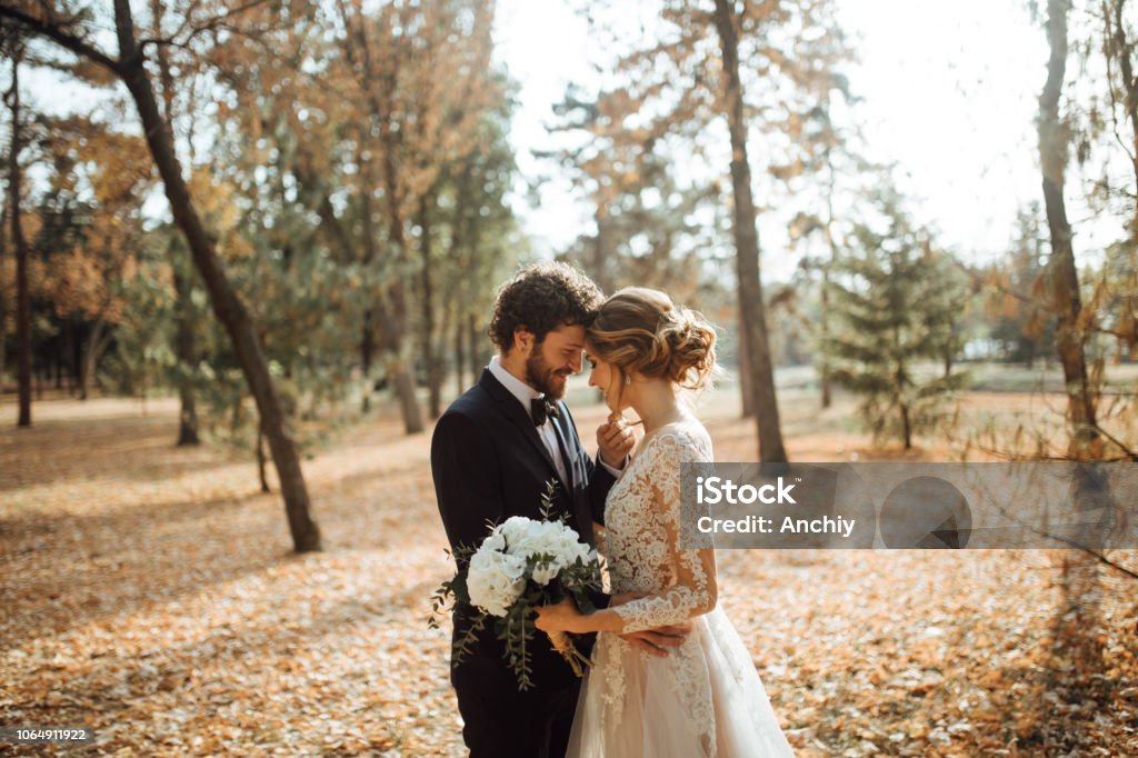 Beautiful wedding couple in park. Wedding Stock Photo