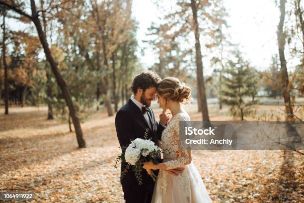 Beautiful Wedding Couple In Park Stock Photo - Download Image Now - Wedding, Couple - Relationship, Autumn