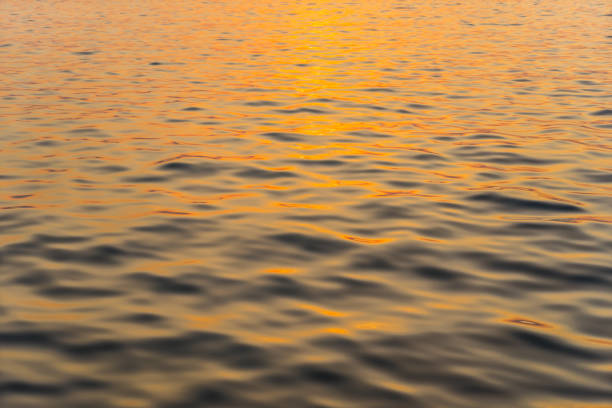 istock sunset reflecting on the surface of sea water 1064912096