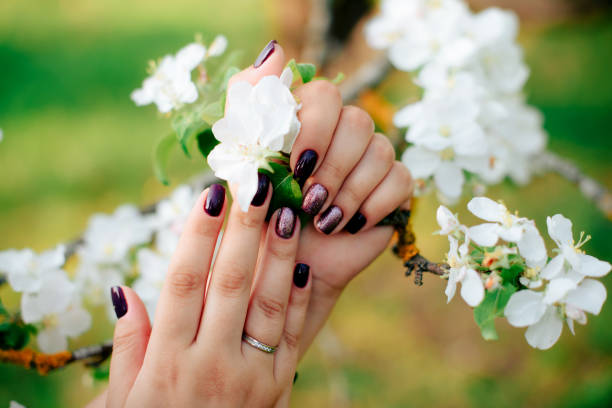istock white blossoms of apple tree close-up 1064914420