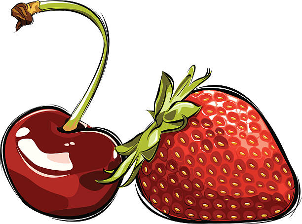 vector cherry and strawberry  chandler strawberry stock illustrations