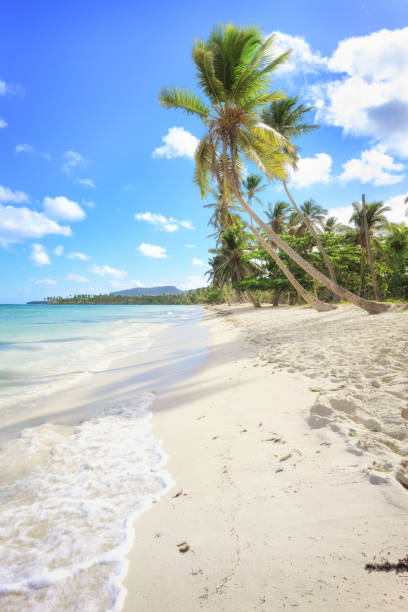 istock Vacation in Dominican Republic 1064917448