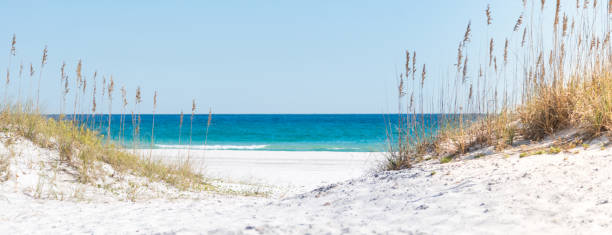 istock Pensacola Beach, Florida dunes, grasses and ocean 1064920900