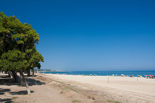 Beach under clear blue sky stock photo