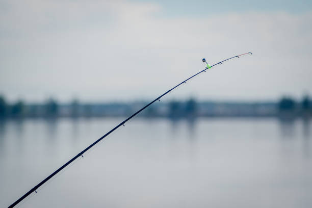 istock The abandoned feeder rod in a summer day on the river 1064926638