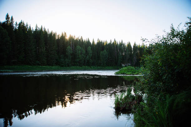 istock Natural background, landscape: forest river on a Sunny day. 1064928370