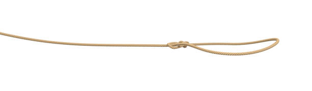 3d rendering of a rope tied in a lasso and flying on a white background. 3d rendering of a rope tied in a lasso and flying on a white background. Catching your prize. Cowboy tools. Roping in your luck. hangmans noose stock pictures, royalty-free photos & images
