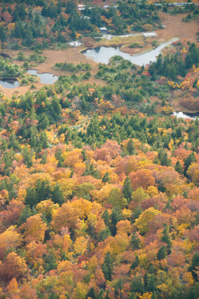istock autumn leaves in Hakkoda mountain 1064931530
