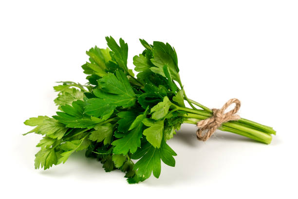 Bouquet of parsley isolated on white. Selective focus. Bouquet of parsley isolated on white. Selective focus. chervil stock pictures, royalty-free photos & images