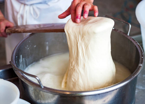 Worker from cheese factory producing mozzarella. Selective focus Worker from cheese factory producing mozzarella. Selective focus italian ethnicity stock pictures, royalty-free photos & images