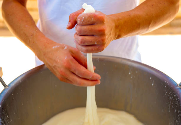 istock Worker from cheese factory producing mozzarella. Selective focus 1064938872