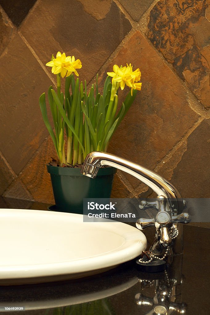 Wunderschöne Waschbecken im Badezimmer - Lizenzfrei Badezimmer Stock-Foto
