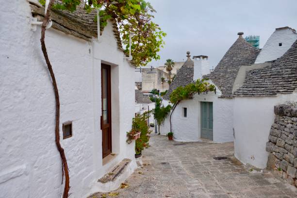 istock Alberobello in Puglia 1064941844