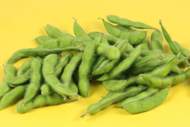 istock Japanese green soybean isolation  on white background 1064945868