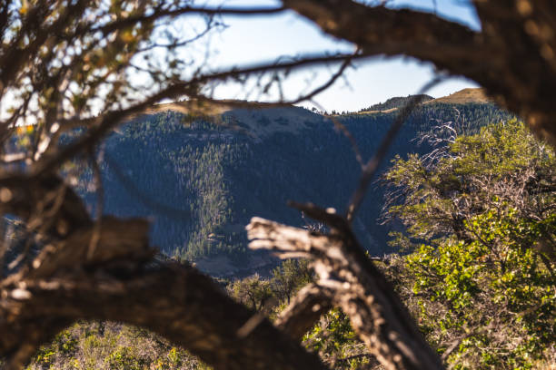 Price Canyon view through some branches to a mountain carbon county utah stock pictures, royalty-free photos & images