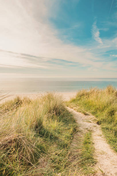 istock Views along the sand dune path towards Gwithian Towans Beach, Cornwall on a Late June afternoon. 1064951274