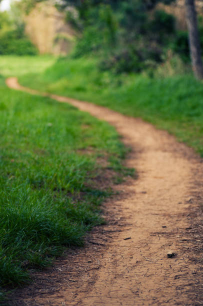 istock Footpath winding through meadow by the forest 1064952634
